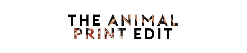 The Animal Print Edit